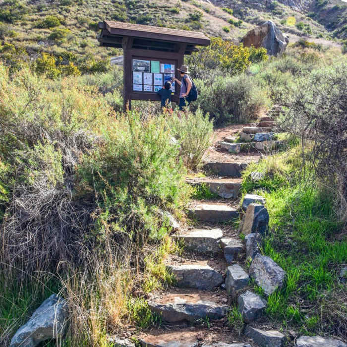 Near Climbers Loop Trail