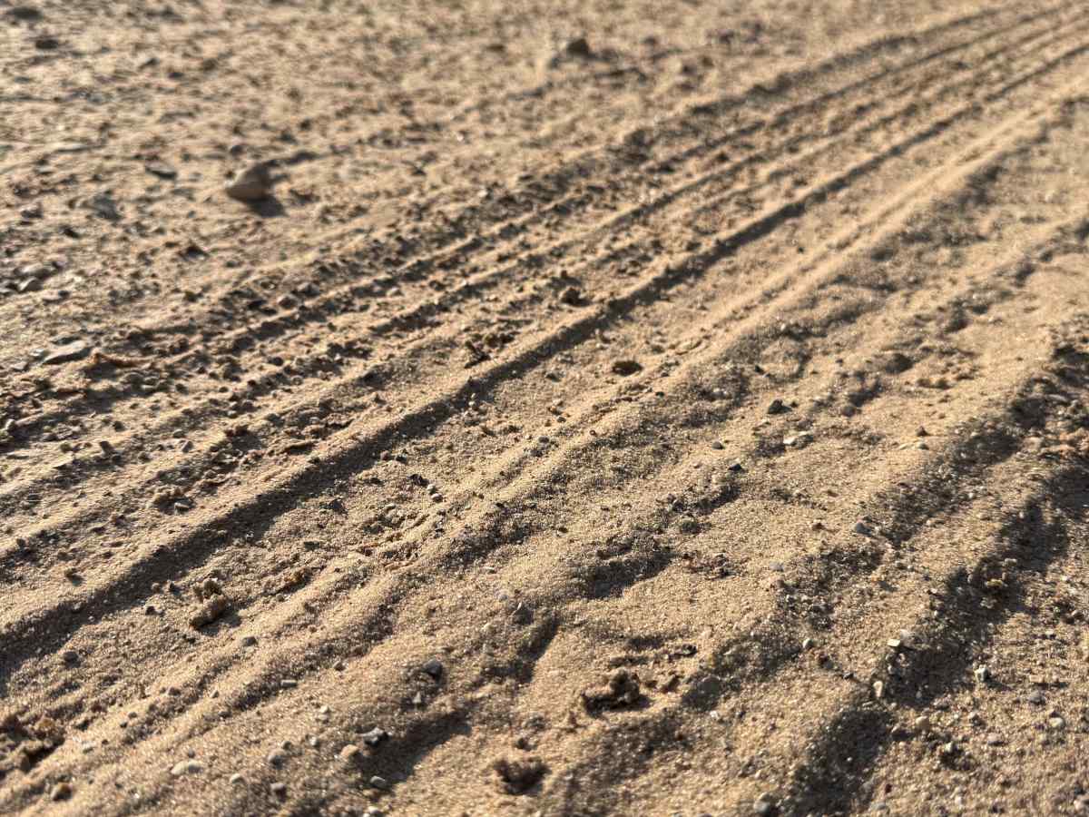 Iron Horse Trail trail photo