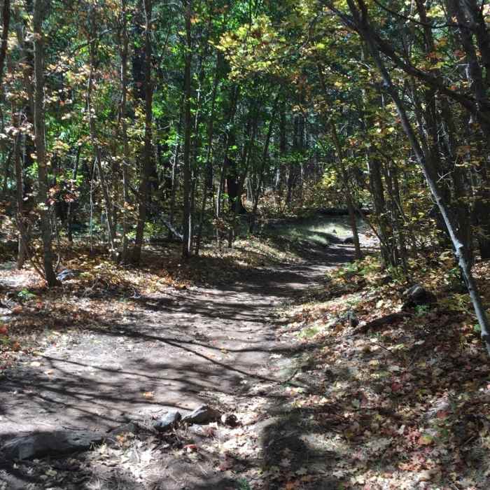 Near Fourth of July Loop