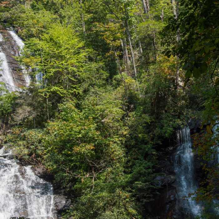 Near Anna Ruby Falls Trail #15
