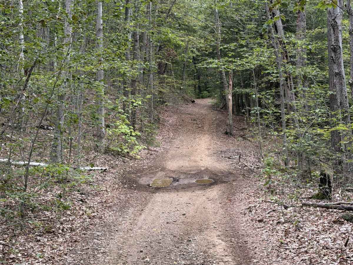 Jewett Road photo 4