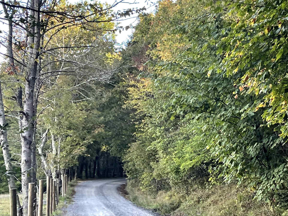 Shawnee Road photo 5