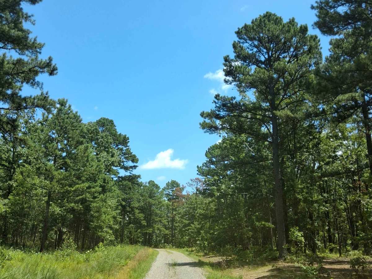 Stewart Road photo 3