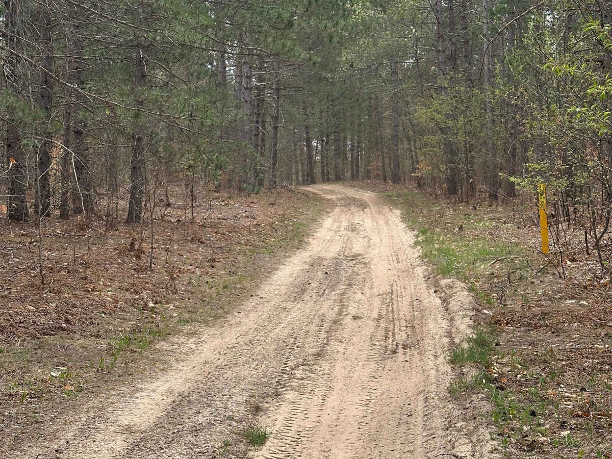 Sand Lake Loop photo 4