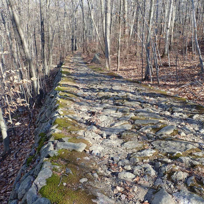 Near Black Mountain and Silvermine Lake loop