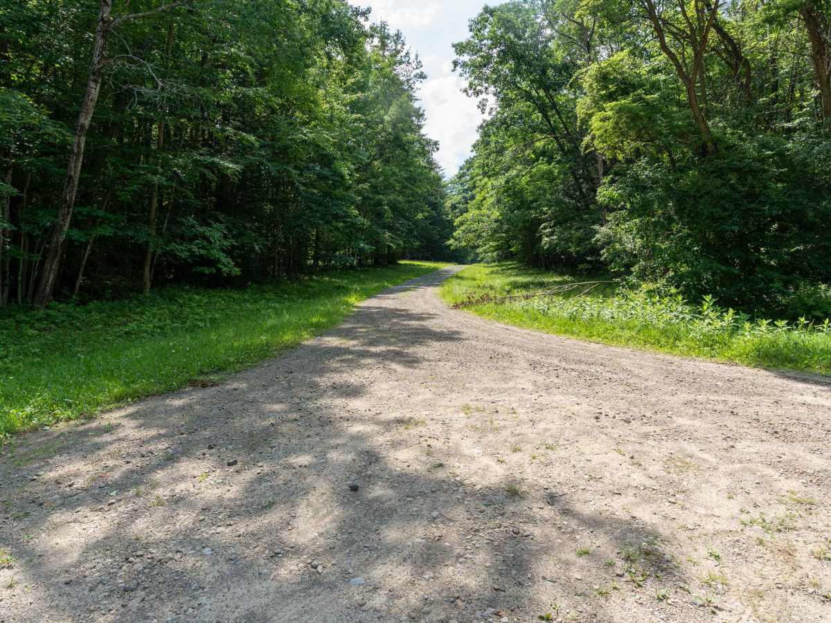 Right Fork Truck Trail trail photo