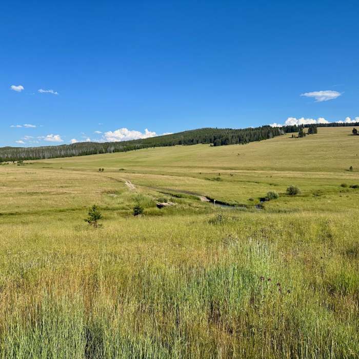 Near Continental Divide Trail: Montana-Idaho Section 20 (Ley Alternate)