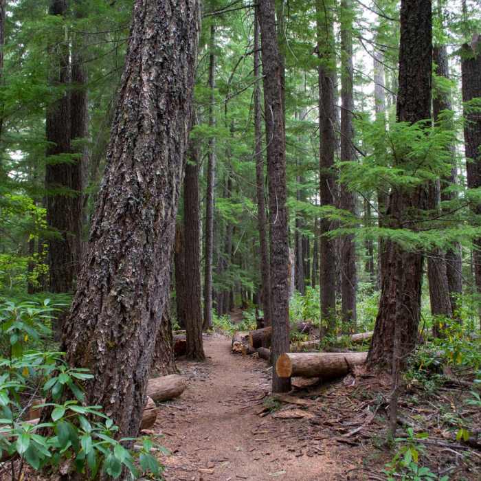 Near Warm Springs Falls