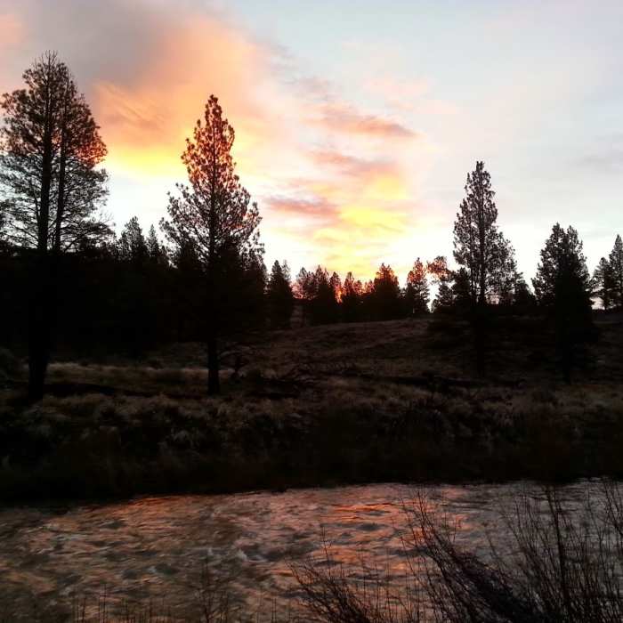 Near Oregon Desert Trail (Seg. 7): Paisley to Abert South