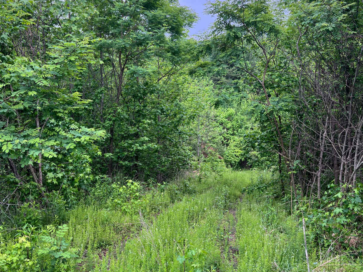 Q61 photo 3