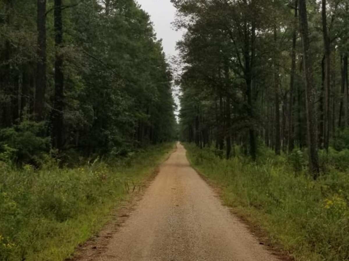 Bienville Scenic Trail photo 6