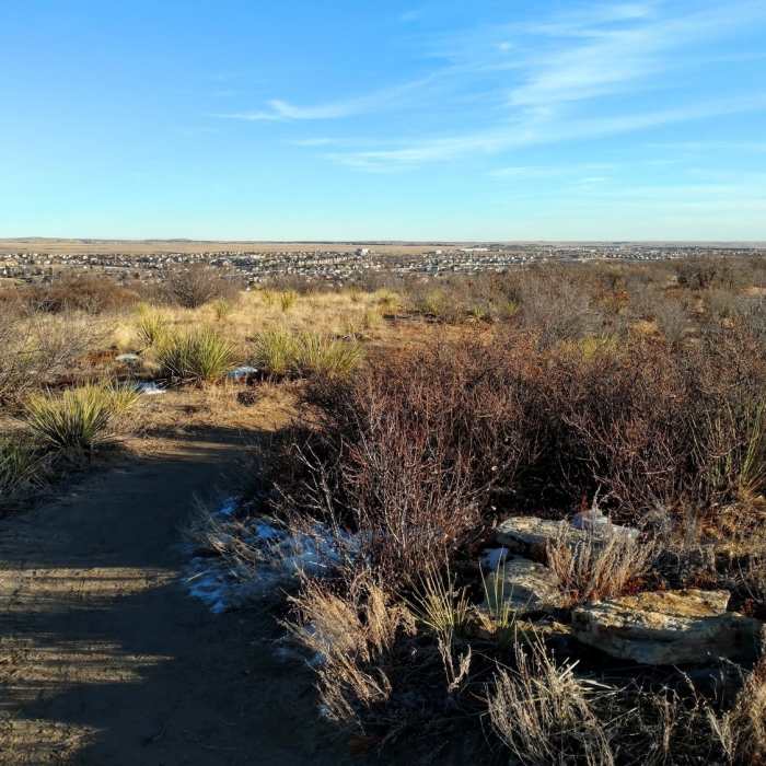 Near High Chaparral Open Space Loop