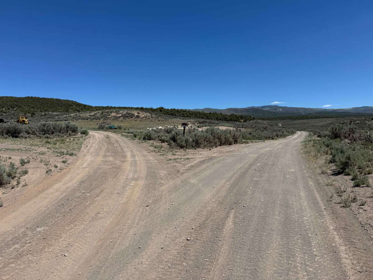 Trail Gulch Road 6 trail photo