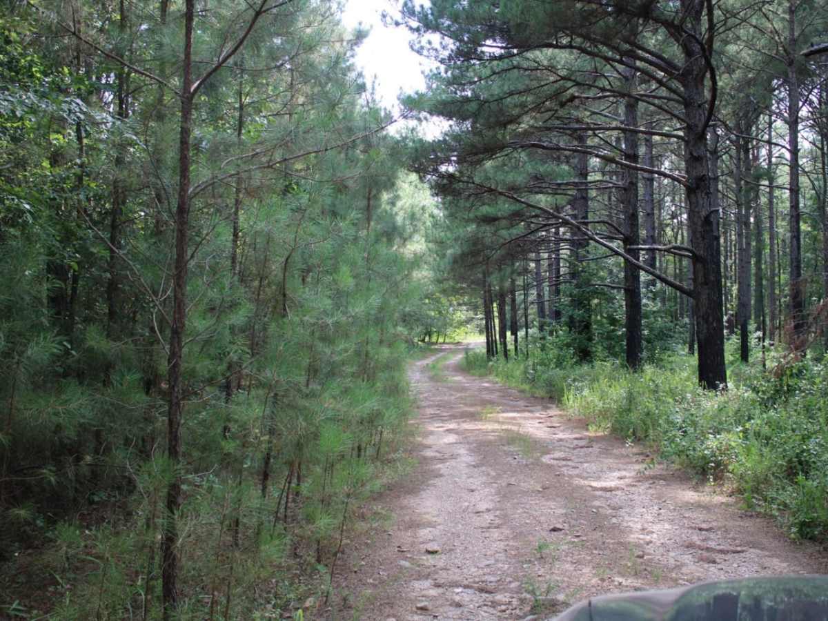 North Fork to Gladstone photo 5