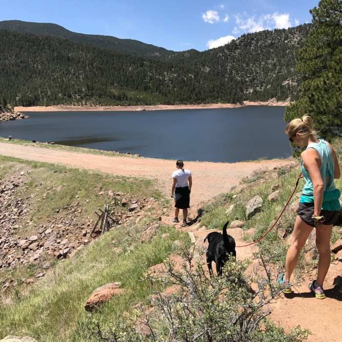 The final stretch of the Switchback Trail. Photo taken when dogs were permitted (before 5/15/23). Near Switchback Trail