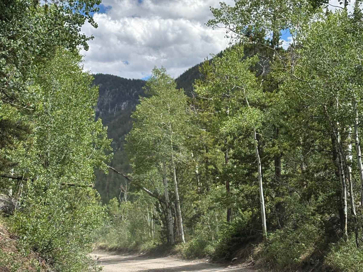 Frying Pan Road - Ivanhoe Creek trail photo