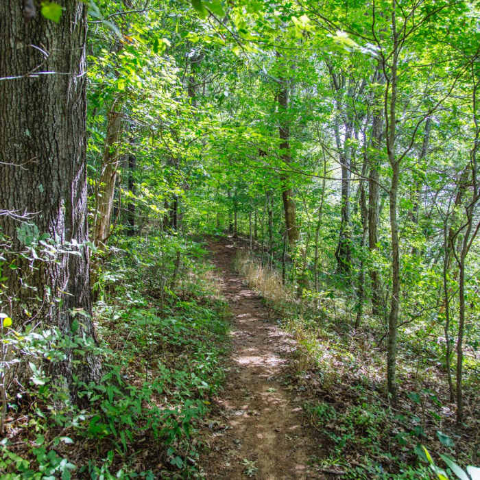 Near Baker's Bluff Trail