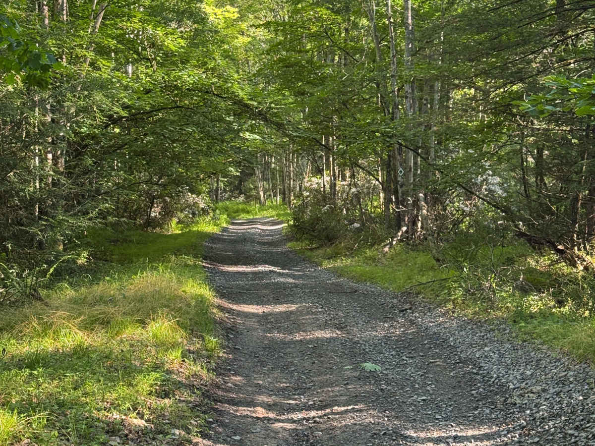 Furnace Trail photo 4