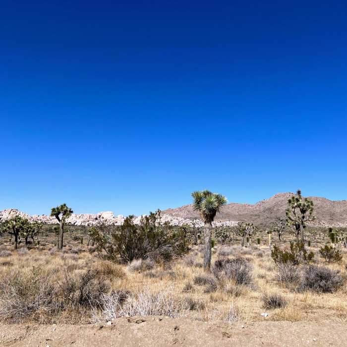 Near Queen Valley Loop
