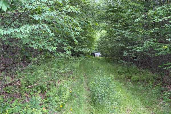 Barker Trail