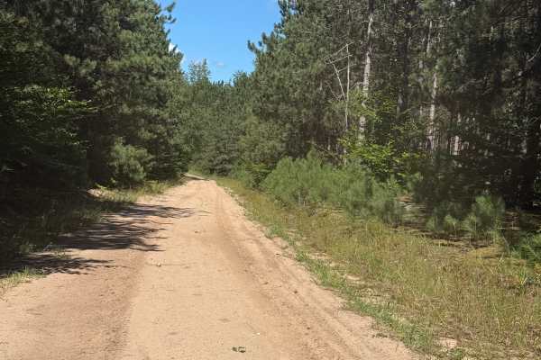 Swanson Trail