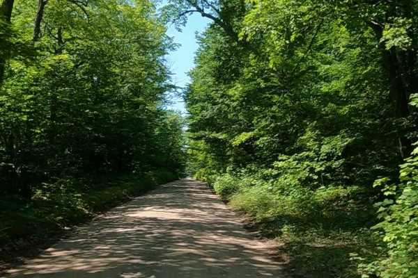 Pohlman Drive
