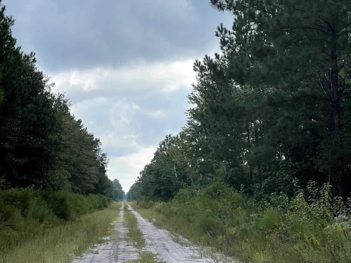 Turkey Branch trail photo