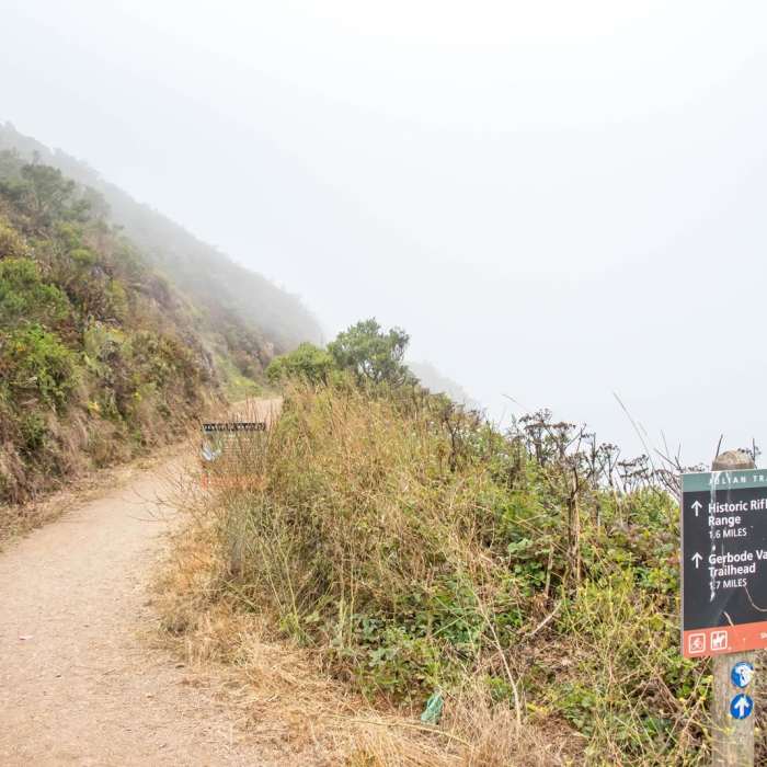 Near Rodeo Valley Trail to Miwok Trail Loop