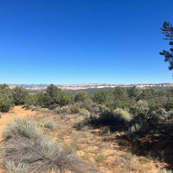 Near Hayduke Trail: Section 14