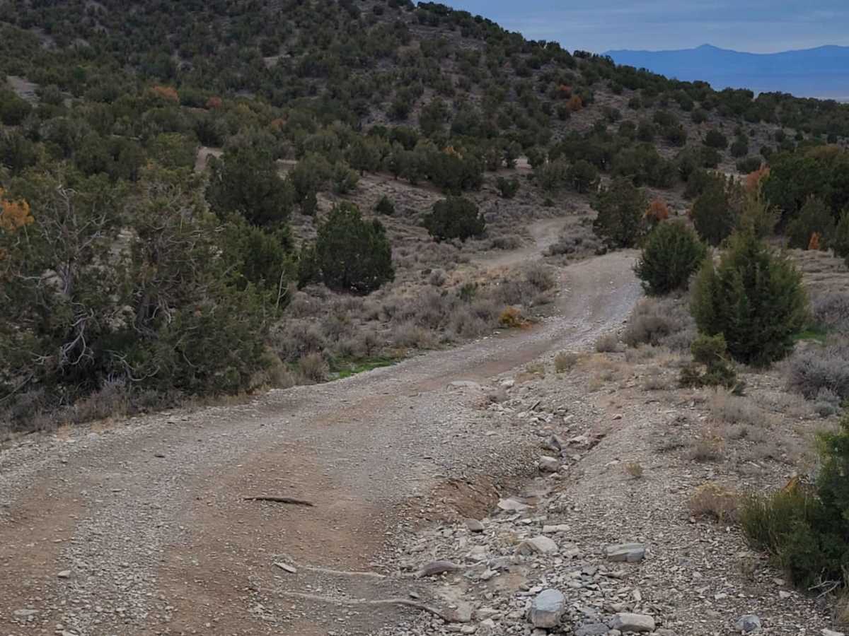 Horseshoe Way photo 4