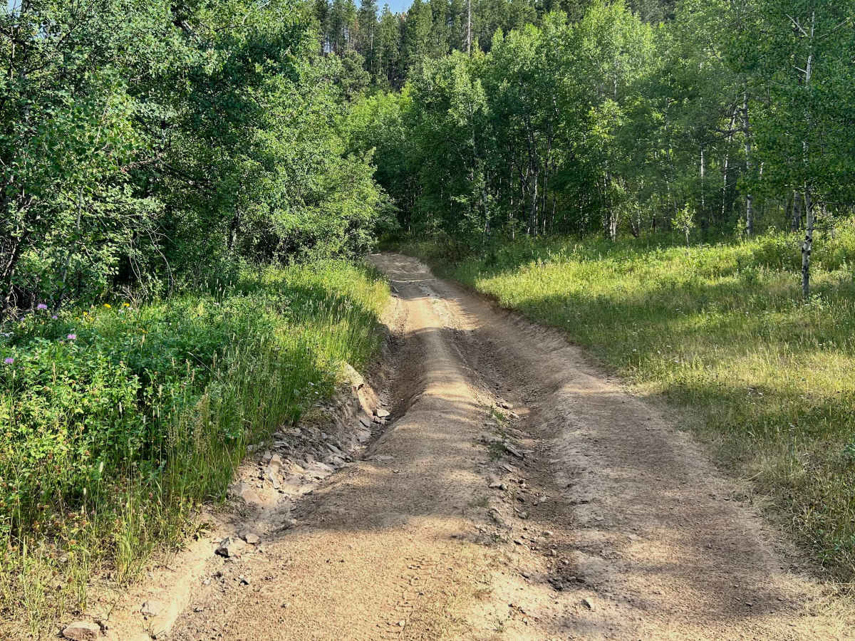 Ruby Gulch Branch - FS 738  photo 3