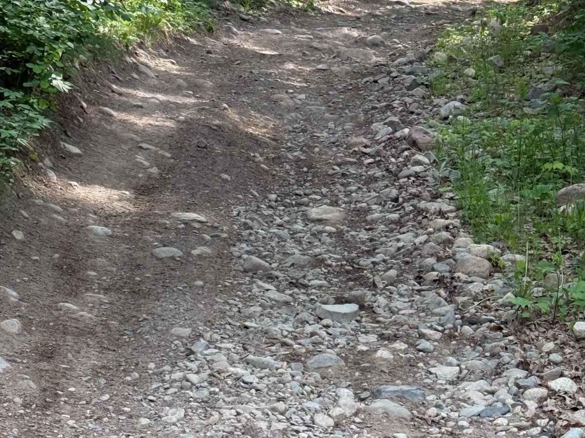 Spider Lake Trails photo 3