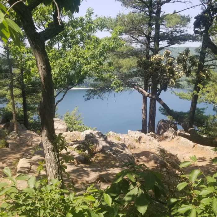 Near East Bluff Woods Trail