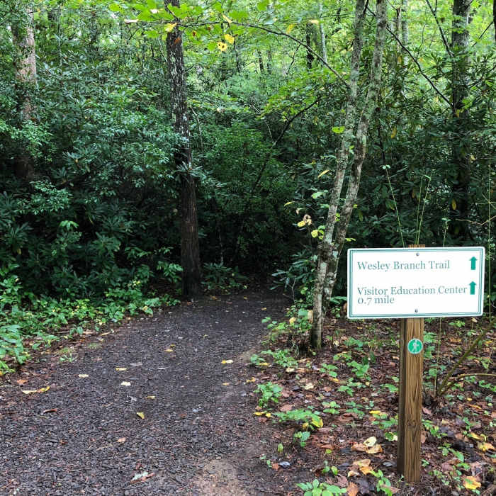 View of the Wesley Branch Trail from the Bent Creek Road Near Bent Creek Road