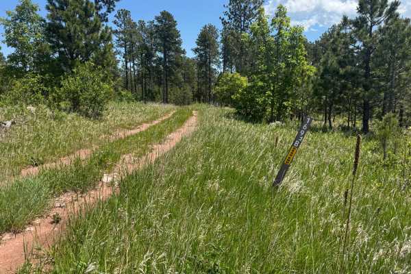 Forbes Gulch Br 1b - FSR 169.1B
