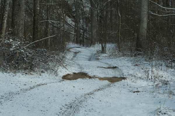 Trail 29