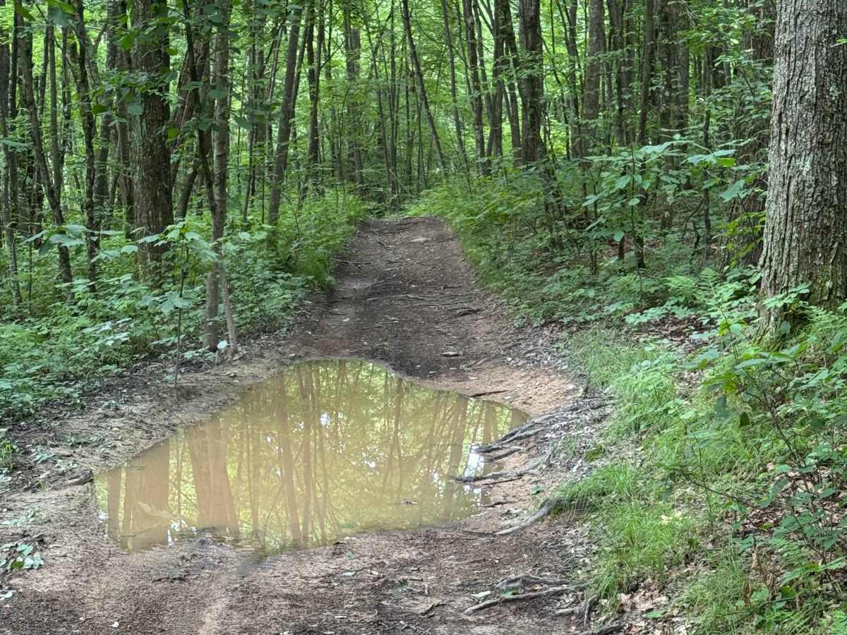 Trail 25 photo 3