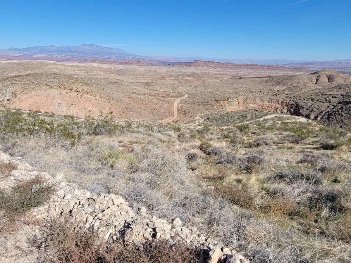 Bear Claw Poppy Trail photo 3
