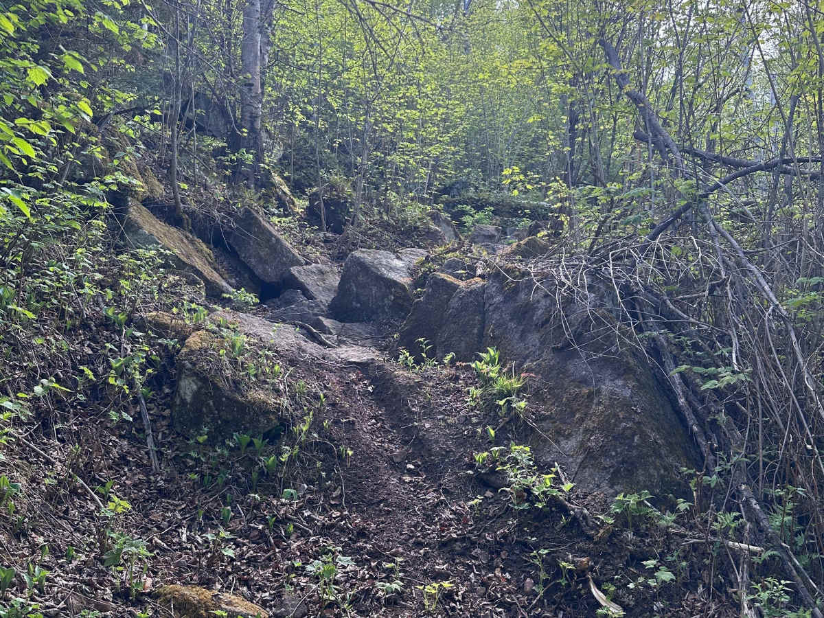 Valhalla Bound photo 5