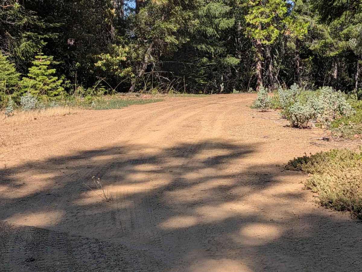 West Side Road - FS 1N30  photo 6