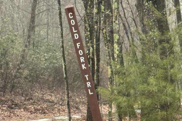 Cold Fork Trail