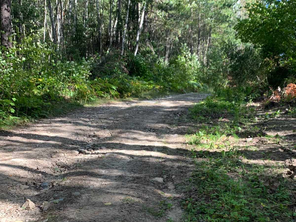 Marion Creek - FS 492 photo 4