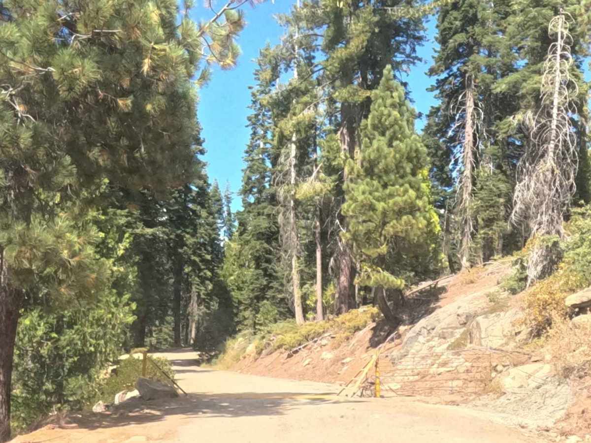 Upper Sky Ranch Road - FS 6S010A photo 3