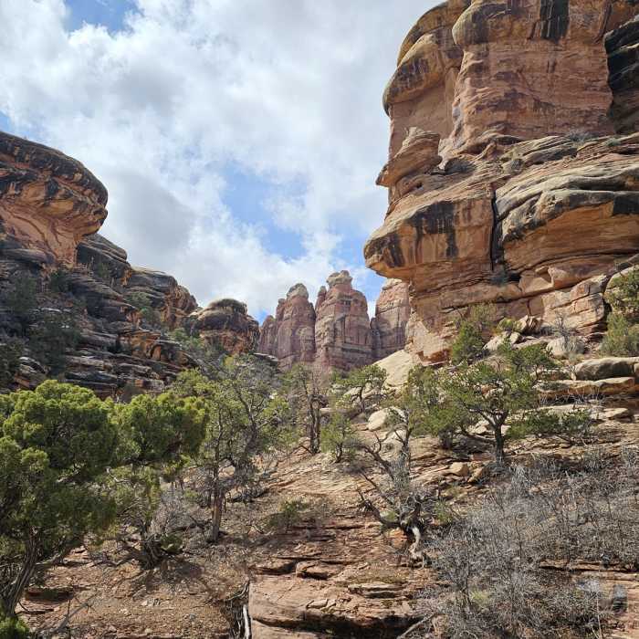 Near Chesler Park Trail