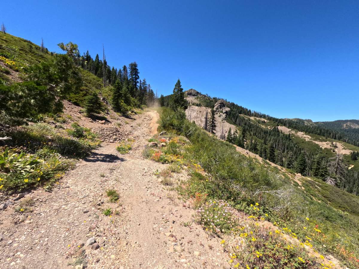 Fir Cap Trail - North Segment - 10E22 photo 5