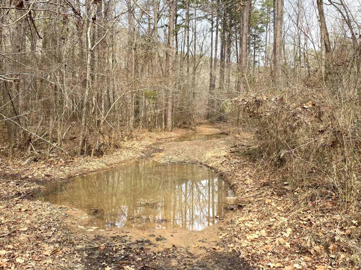 East Fork Illinois Bayou photo 4