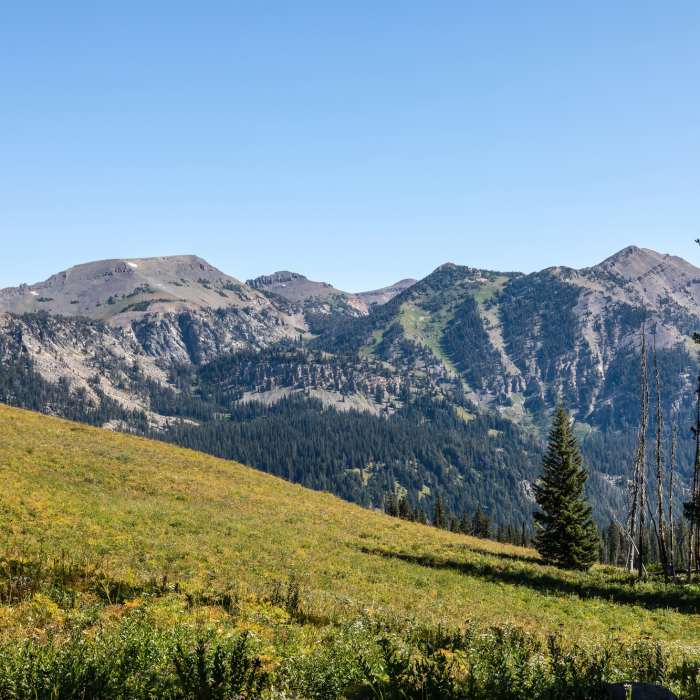 Near Rendezvous Mountain