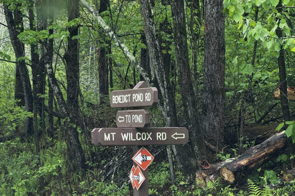 Mount Wilcox Road