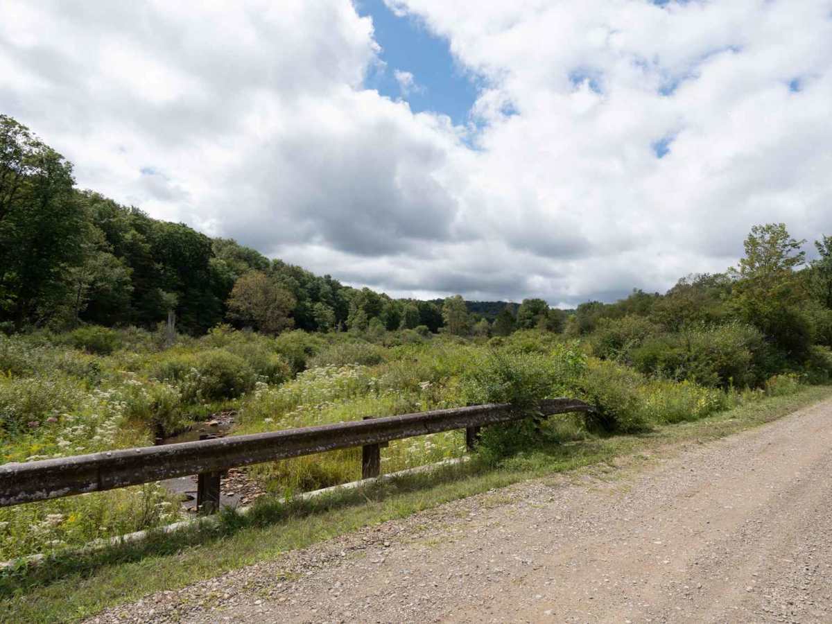 France Brook Road trail photo