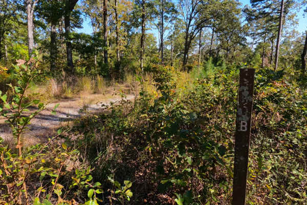 Miller Creek - FS 3750B